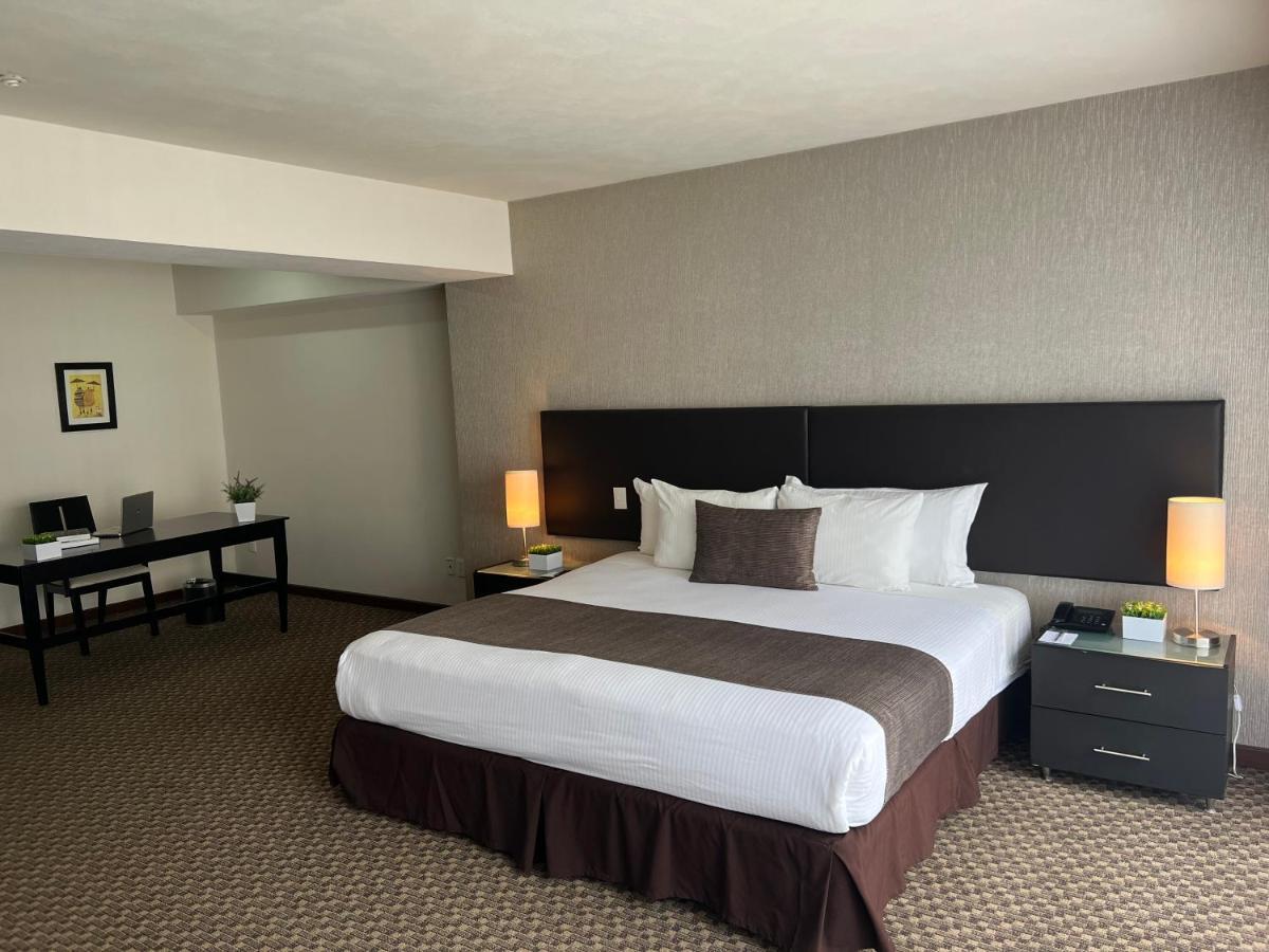 St Isidro Suites Corporate Housing Spa & Wellness Center メキシコシティ エクステリア 写真
