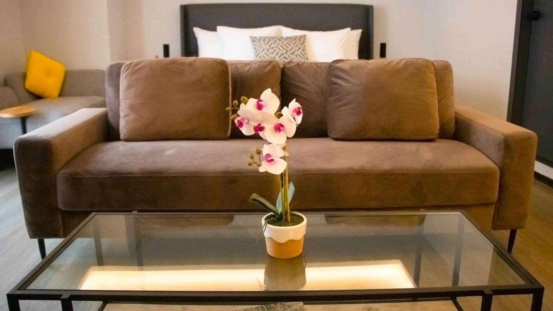 St Isidro Suites Corporate Housing Spa & Wellness Center メキシコシティ エクステリア 写真