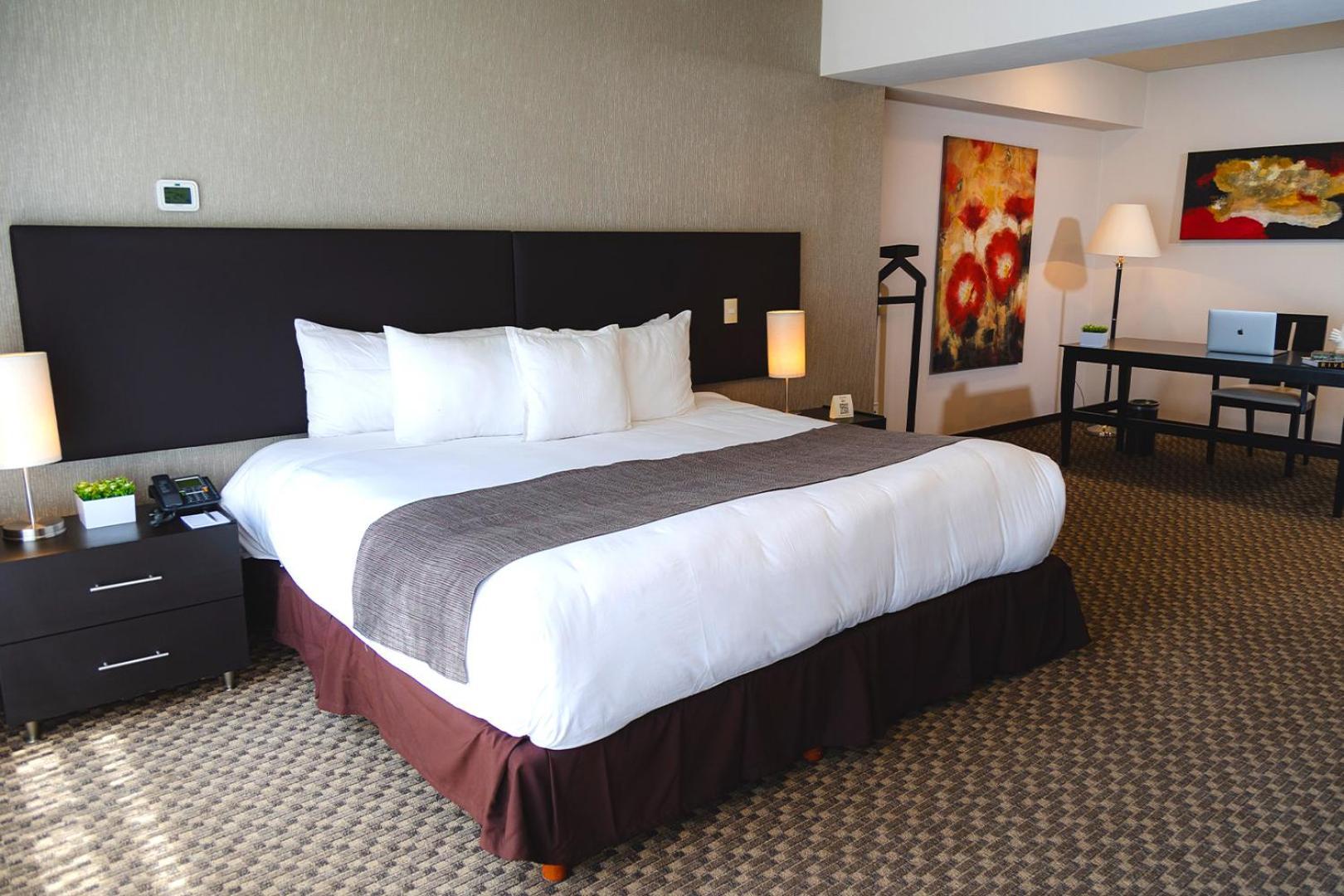 St Isidro Suites Corporate Housing Spa & Wellness Center メキシコシティ エクステリア 写真