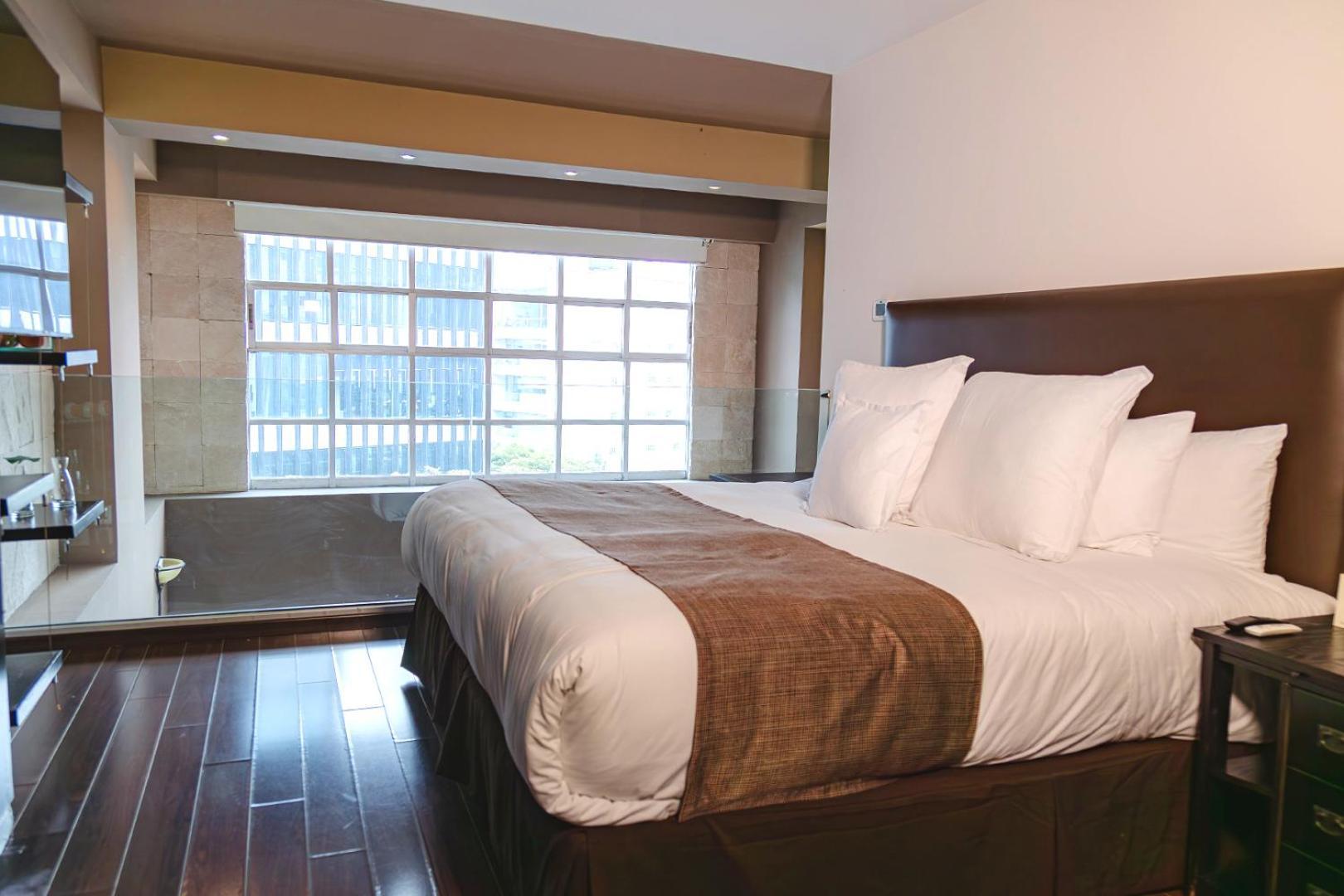St Isidro Suites Corporate Housing Spa & Wellness Center メキシコシティ エクステリア 写真